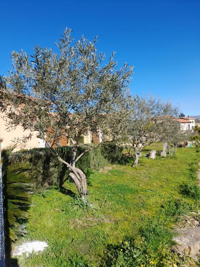 Agriturismo La Stragola 尼科西亚 外观 照片