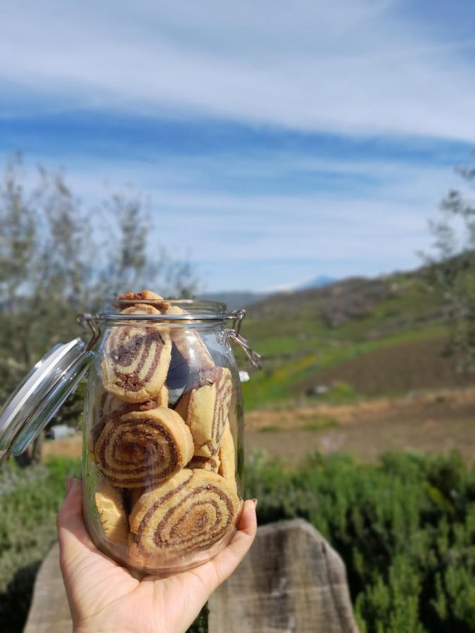 Agriturismo La Stragola 尼科西亚 外观 照片